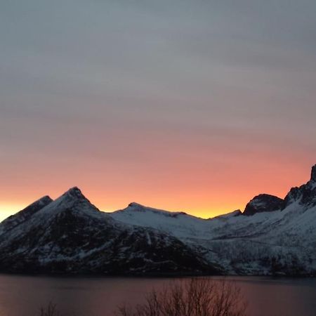 Senja, Husoy I Senja. Leilighet Med Utsikt Over Fjord Og Fjell Tofta 외부 사진