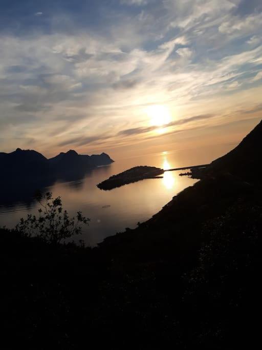 Senja, Husoy I Senja. Leilighet Med Utsikt Over Fjord Og Fjell Tofta 외부 사진