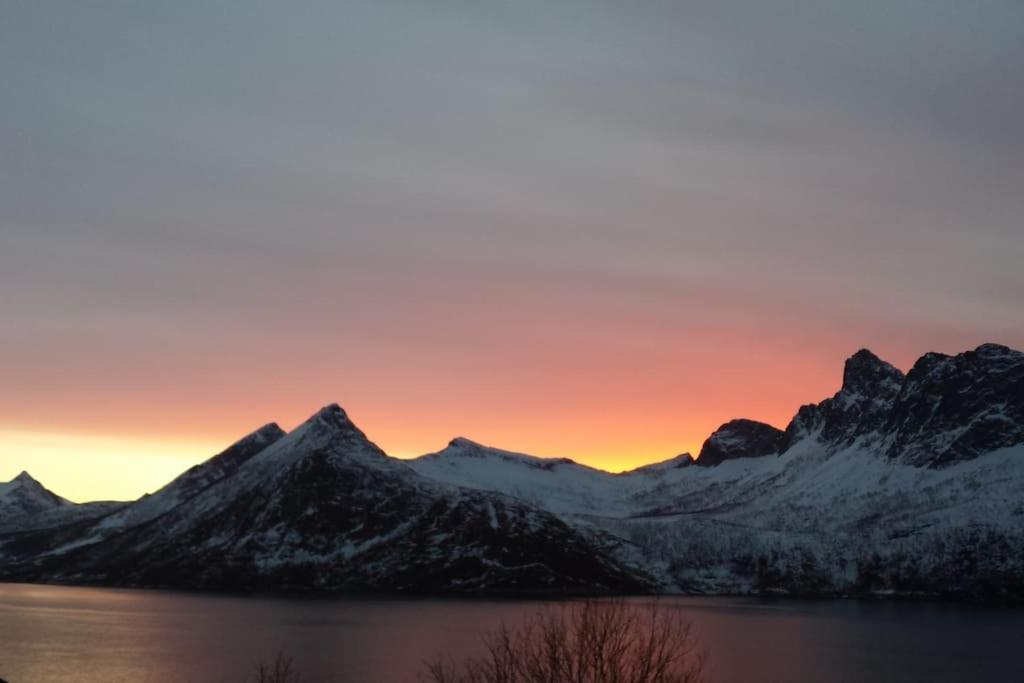 Senja, Husoy I Senja. Leilighet Med Utsikt Over Fjord Og Fjell Tofta 외부 사진