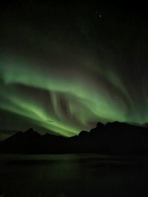 Senja, Husoy I Senja. Leilighet Med Utsikt Over Fjord Og Fjell Tofta 외부 사진